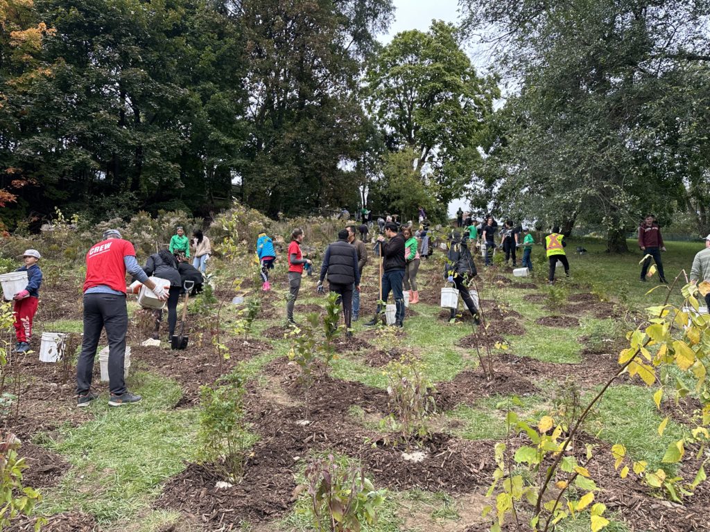 st_gabes_youth_tree_planting_2023_5